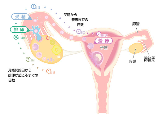 出典：新百合ヶ丘総合病院