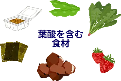 葉酸を含む食材イラストイメージ