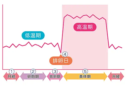 不妊症一般検査リスト