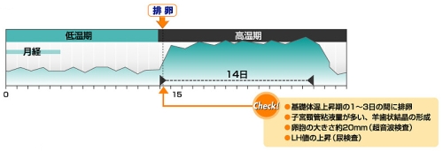 タイミング療法