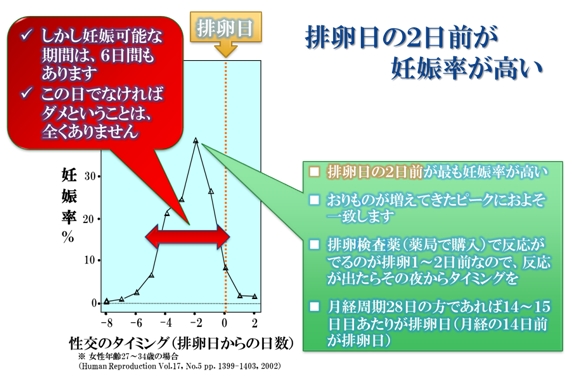 排卵日の2日前が妊娠率が高い