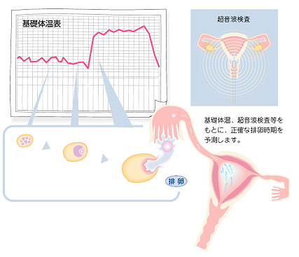 タイミング療法