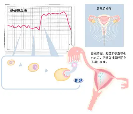 タイミング療法